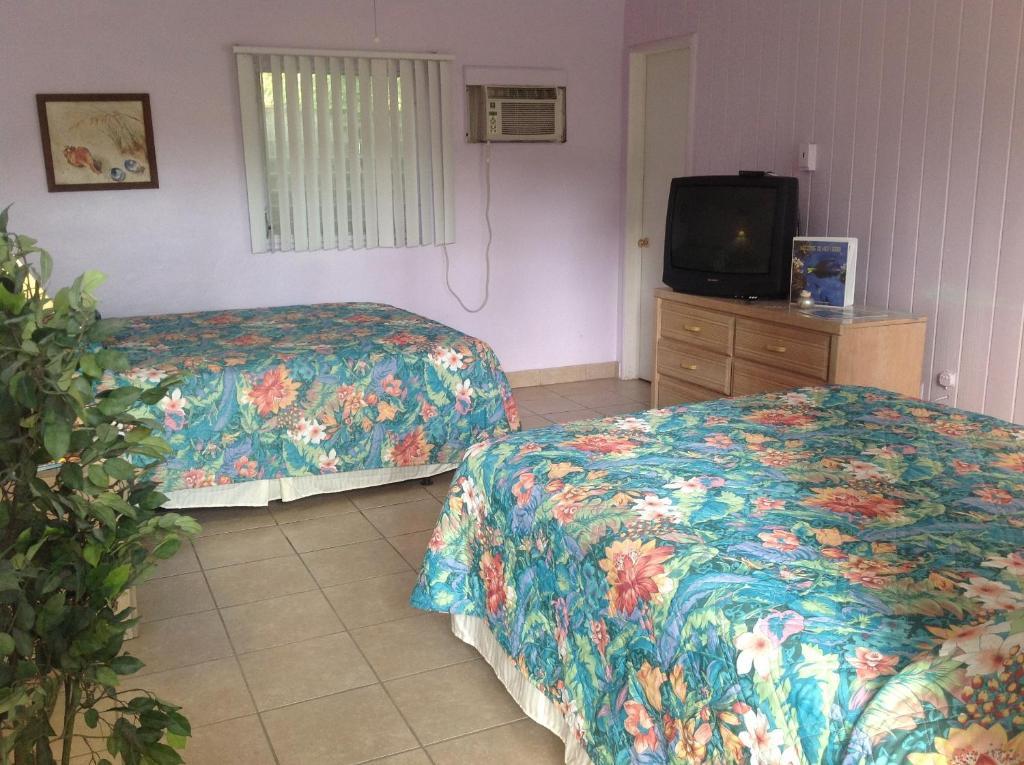 Seafarer Key Largo Resort And Beach Rum bild